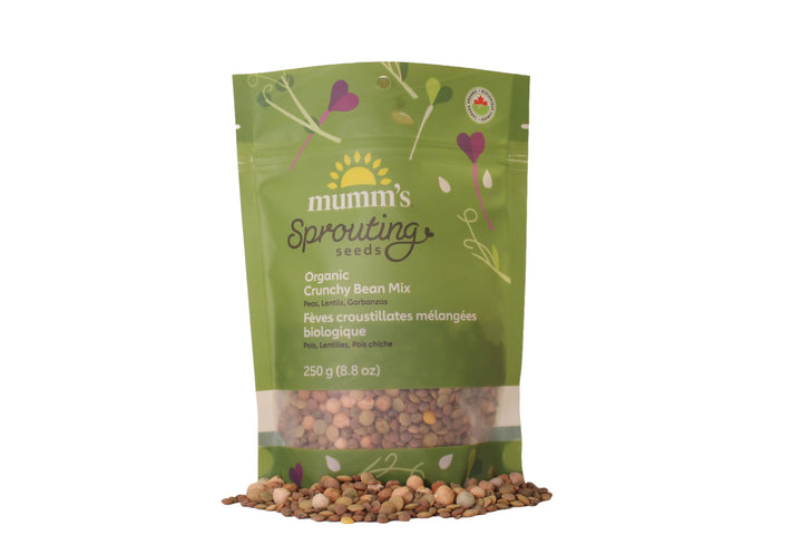 Crunchy Bean Mix - Image 1