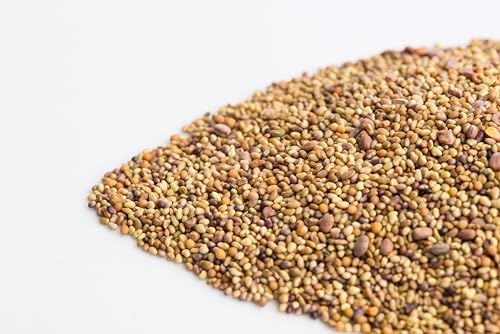 Sandwich Booster - Image 5