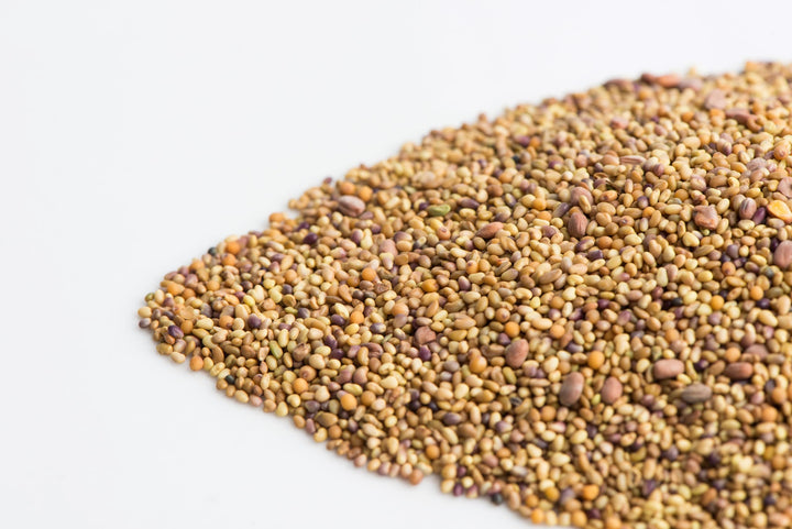 Sandwich Booster - Image 4