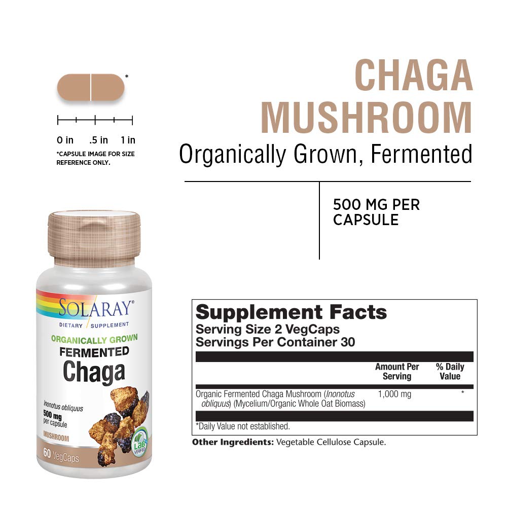 Fermented Chaga Mushroom - Image 4