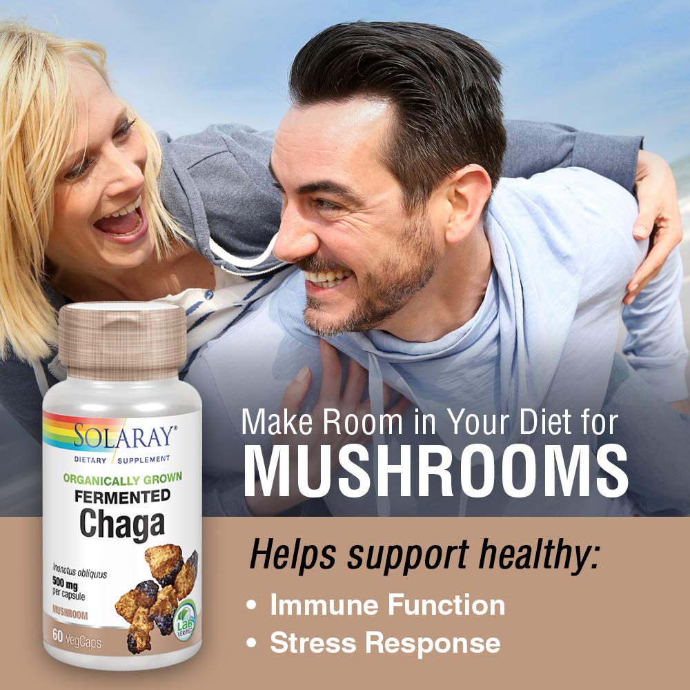 Fermented Chaga Mushroom - Image 7