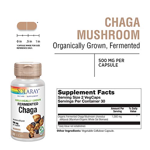 Fermented Chaga Mushroom - Image 5