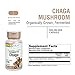 Fermented Chaga Mushroom - Image 6