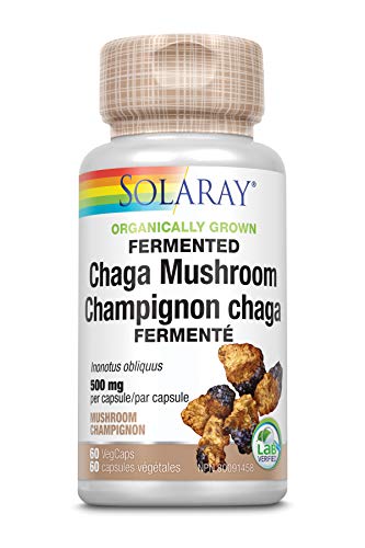 Fermented Chaga Mushroom - Image 2