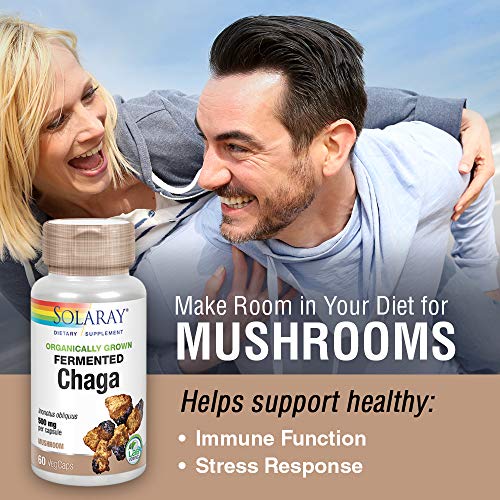 Fermented Chaga Mushroom - Image 8