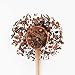 Purple Tea - Purple Chocolate - Image 9