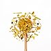 Turmeric Ginger - Loose Leaf Herbal - Image 9