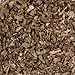 Organic Basil - Image 6