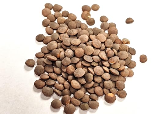 Organic Red Lentils - Image 10