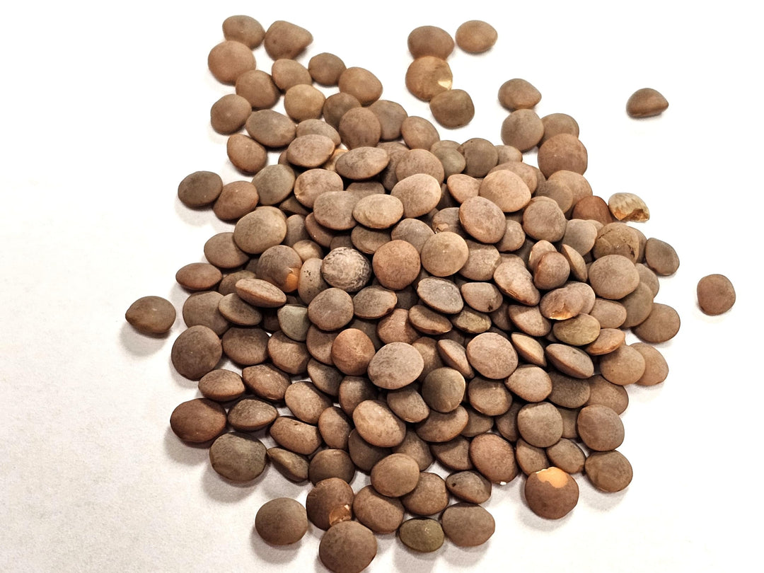 Organic Red Lentils - Image 9