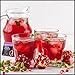 Pomegranate Echinacea - Image 5