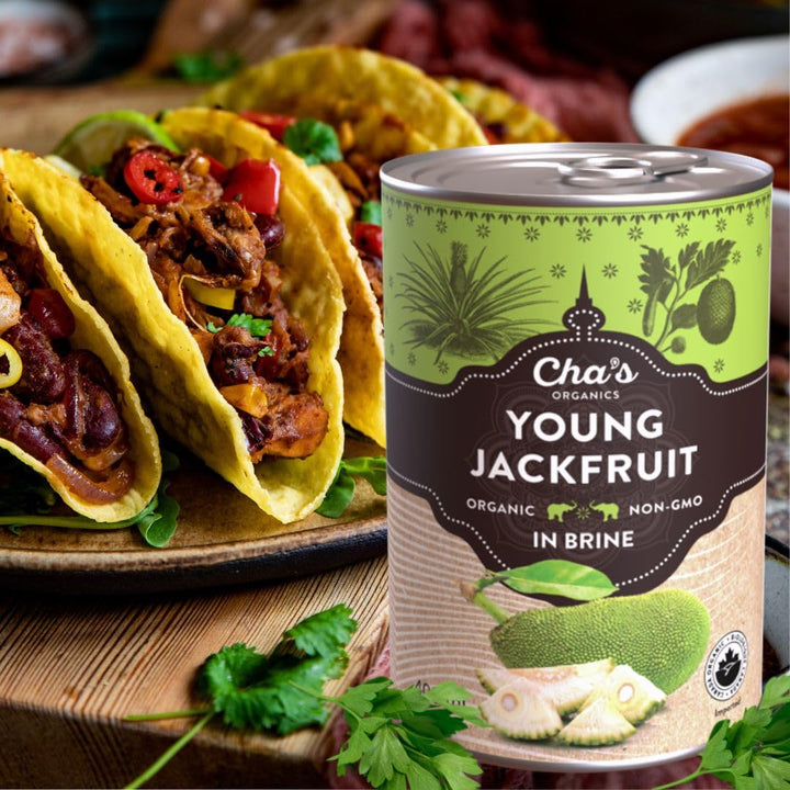 Young Jackfruit In Brine - Image 10