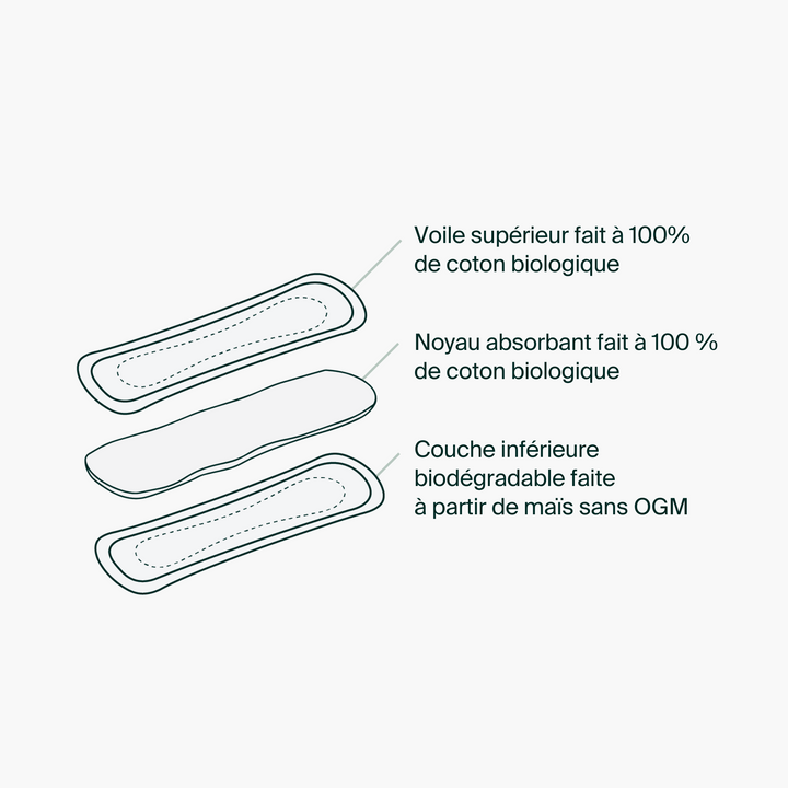 Pantyliners, reg 80ct - Iris + Arlo Inc. - Image 5
