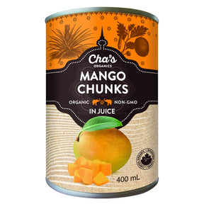 Mango Chunks In Juice - Image 1