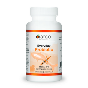 Everyday Probiotic - Image 1
