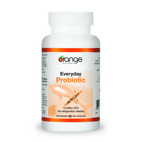 Everyday Probiotic - Image 5