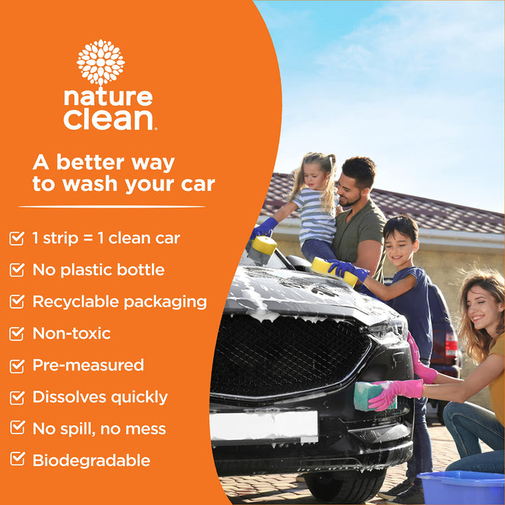 Car Wash Strips - Image 4