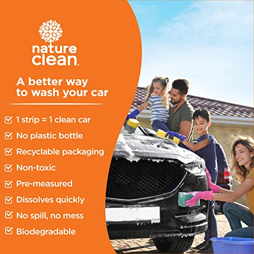 Car Wash Strips - Image 5