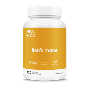 Lion's Mane (4:1) 500mg - Image 3