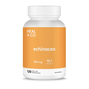 Echinacea (10:1 extract) 500mg - Image 1