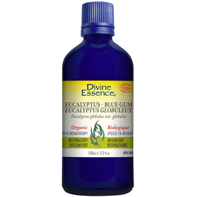 Eucalyptus - Blue Gum (Organic) - Image 2