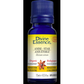 Anise - Star (Organic) - Image 5