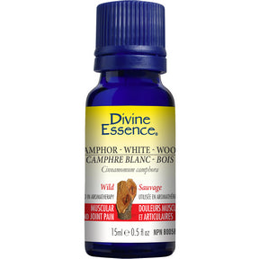 Camphor - White Wood (Wild) - Image 4