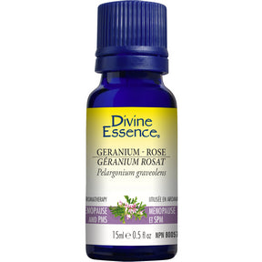 Geranium Rose (Conventional) - Image 4