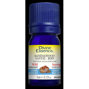 Sandalwood (South Pacific) (Wild) - Image 3