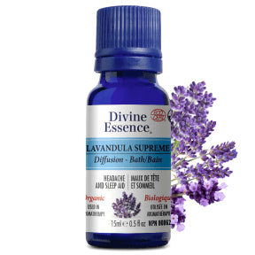 Lavandula Supreme (Organic) - Image 2