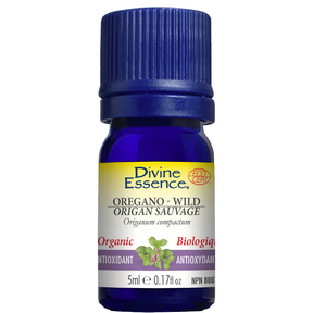 Oregano - Wild (Organic) - Image 4