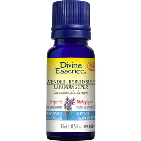 Lavender Hybrid Super (Organic) - Image 6