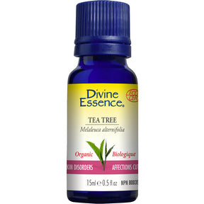 Tea Tree (Organic) - Image 6