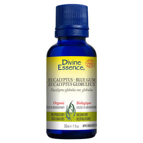 Eucalyptus - Blue Gum (Organic) - Image 3