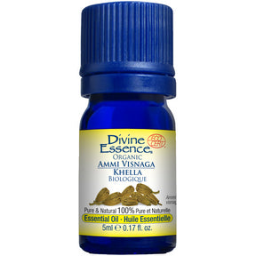 Ammi Visnaga (Khella) (Organic) - Image 3