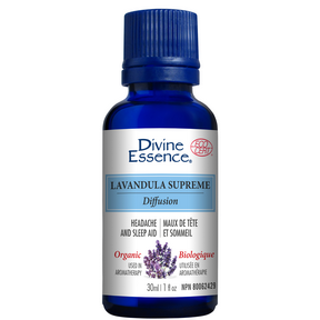Lavandula Supreme (Organic) - Image 4