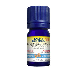 Frankincense (Somalia) (Organic) - Image 2