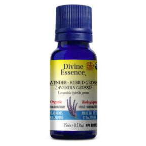 Lavander - Hybrid Grosso (Organic) - Image 5