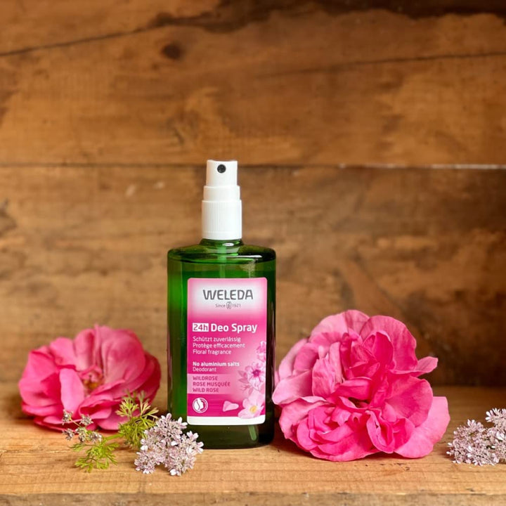 Wild Rose 24H Deodorant Spray - Image 4