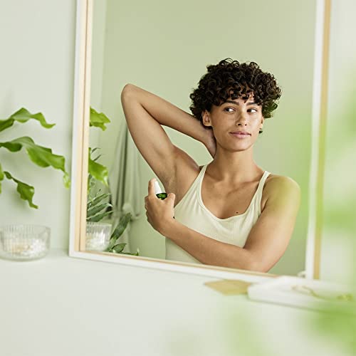 Wild Rose 24H Deodorant Spray - Image 8