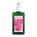 Wild Rose 24H Deodorant Spray - Image 3