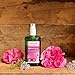 Wild Rose 24H Deodorant Spray - Image 6