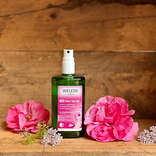 Wild Rose 24H Deodorant Spray - Image 5