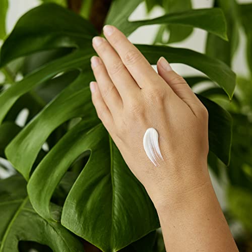 Hydrating Hand Cream - Image 5