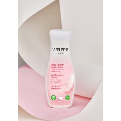 Unscented Body Lotion - Image 7