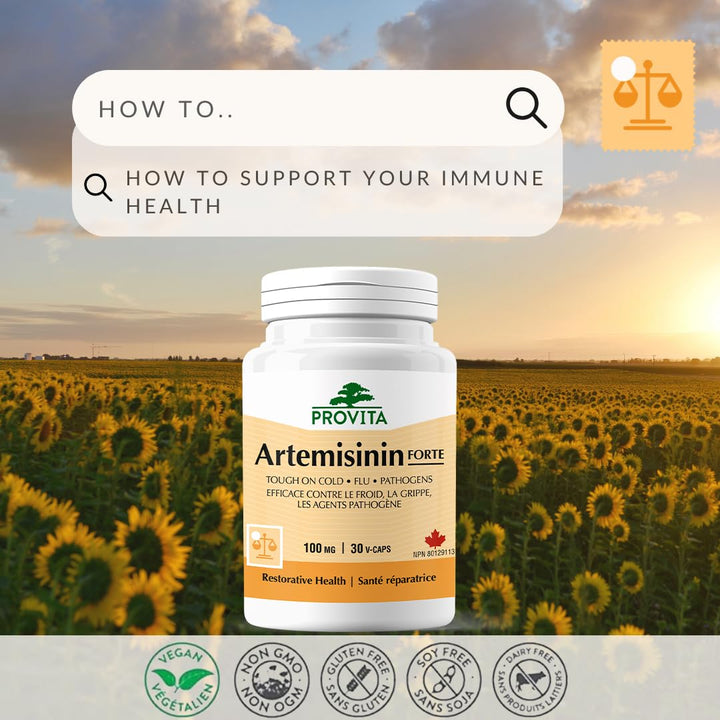 Provita - Artemisinin Pro (30 caps) - Image 7