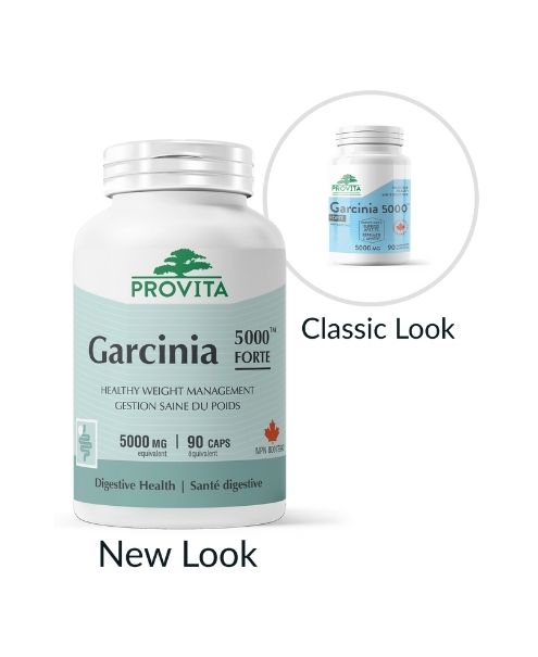 Provita - Garcinia 5000 Forte (90 caps) - Image 1
