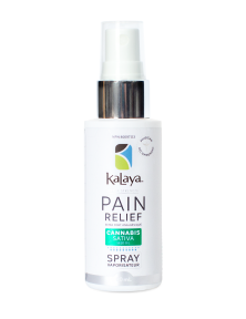 Pain Relief Spray w. CS Seed Oil - Image 4