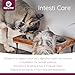 Naturpet - Intesti Care, 165g - Image 5