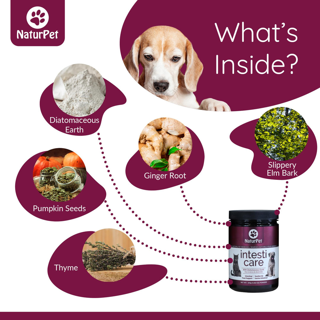 Naturpet - Intesti Care, 165g - Image 9